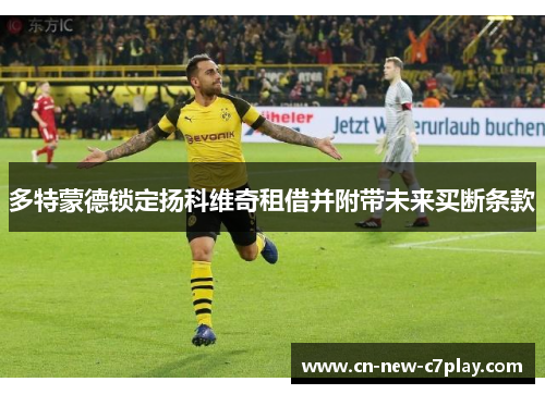 多特蒙德锁定扬科维奇租借并附带未来买断条款